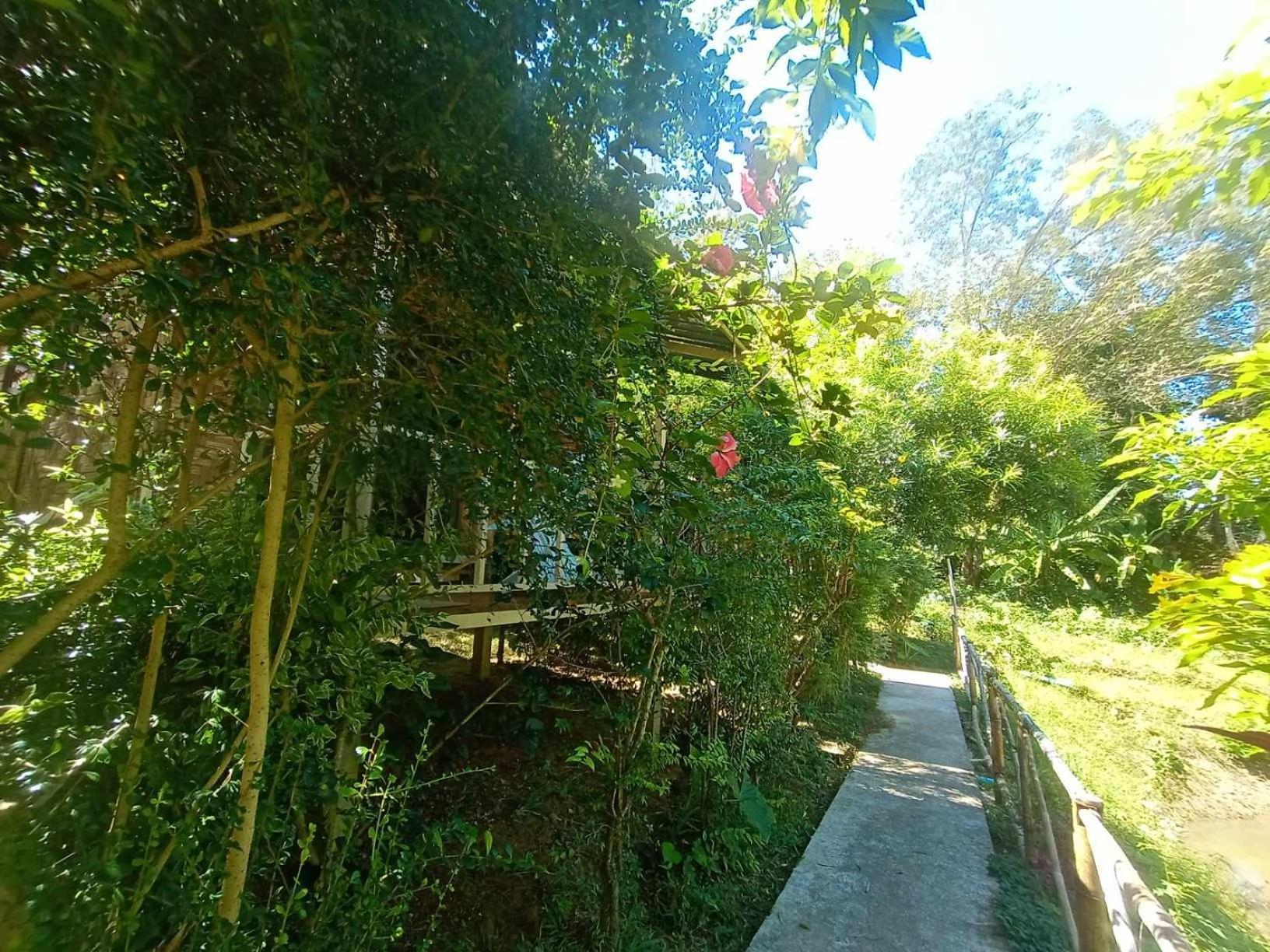 Koh Mook Bamboo Bungalows ภายนอก รูปภาพ