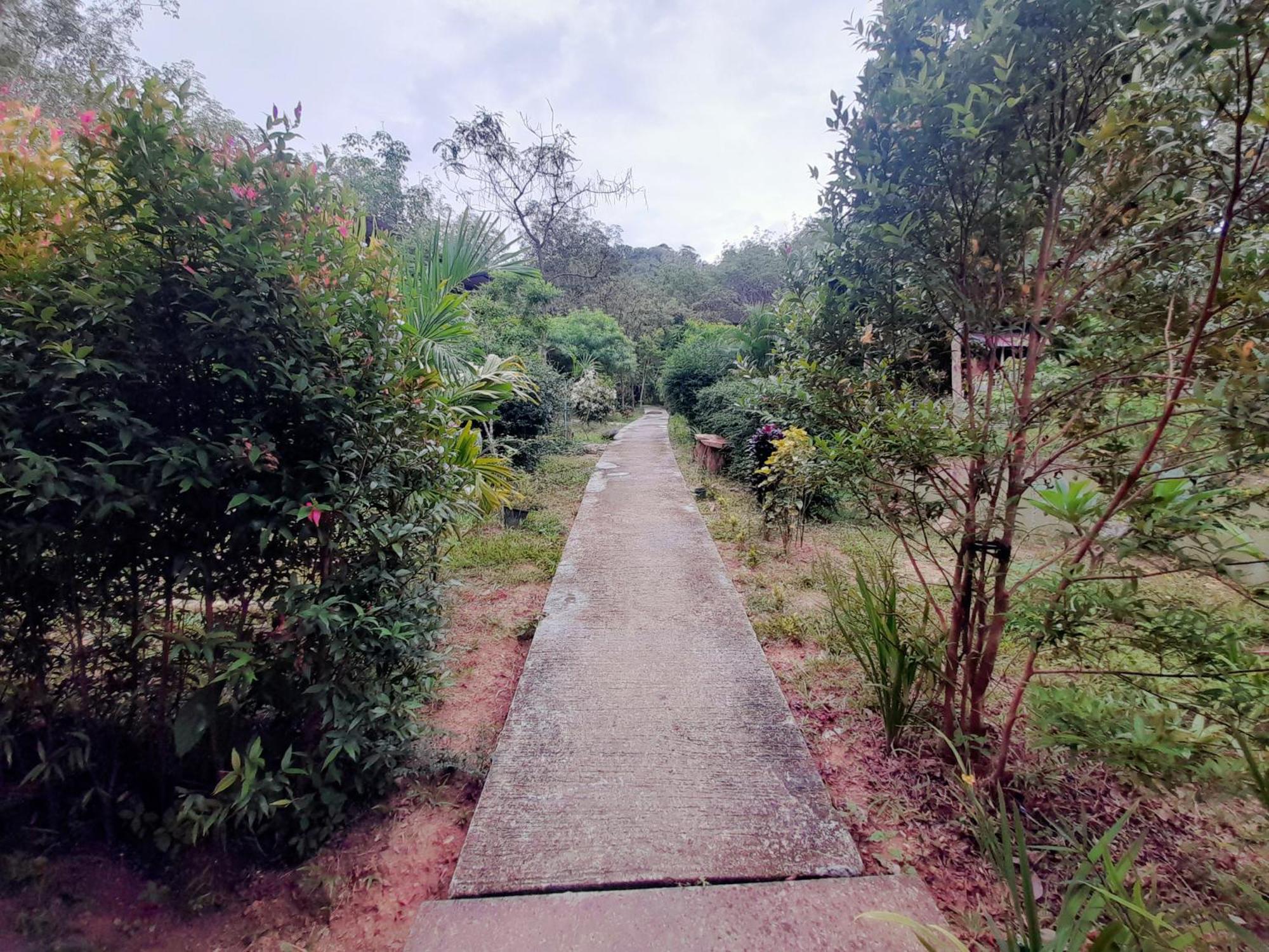 Koh Mook Bamboo Bungalows ภายนอก รูปภาพ